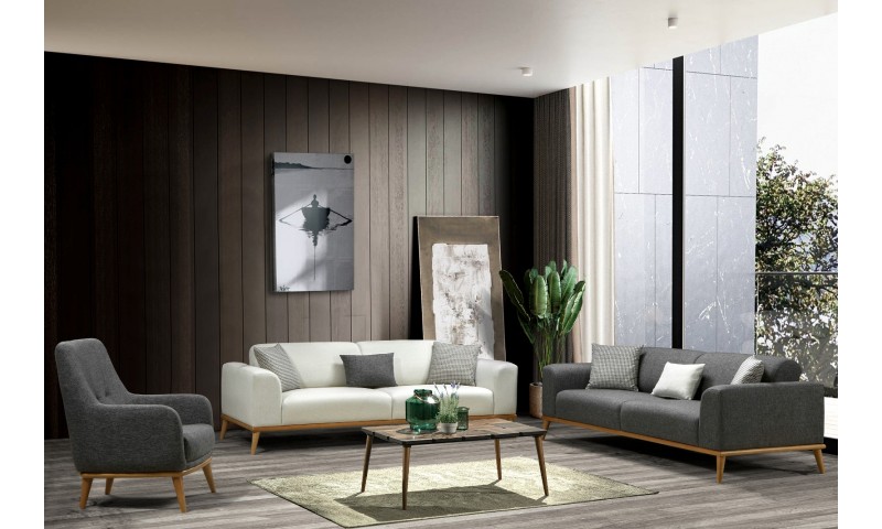 Livza Koltuk Takımı